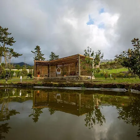 Tradicampo Oeko Landhaeuser Cycas O Granel Holiday home